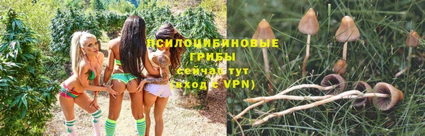 COCAINE Белокуриха